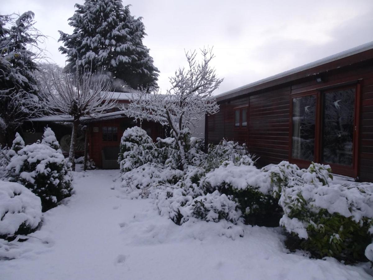 Veluwe Park Reewold Chalet Infinity Пюттен Экстерьер фото